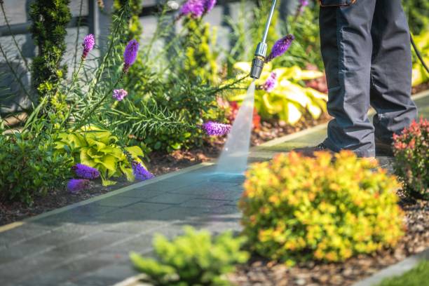 Best Concrete Surface Cleaning in Conover, NC